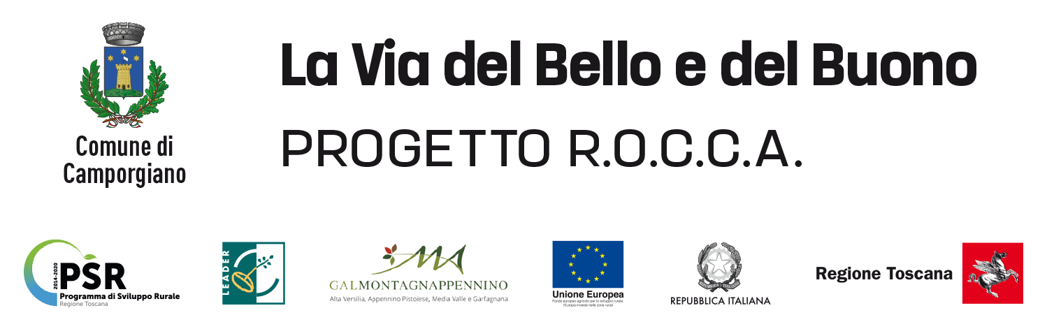 banner loghi pgt rocca